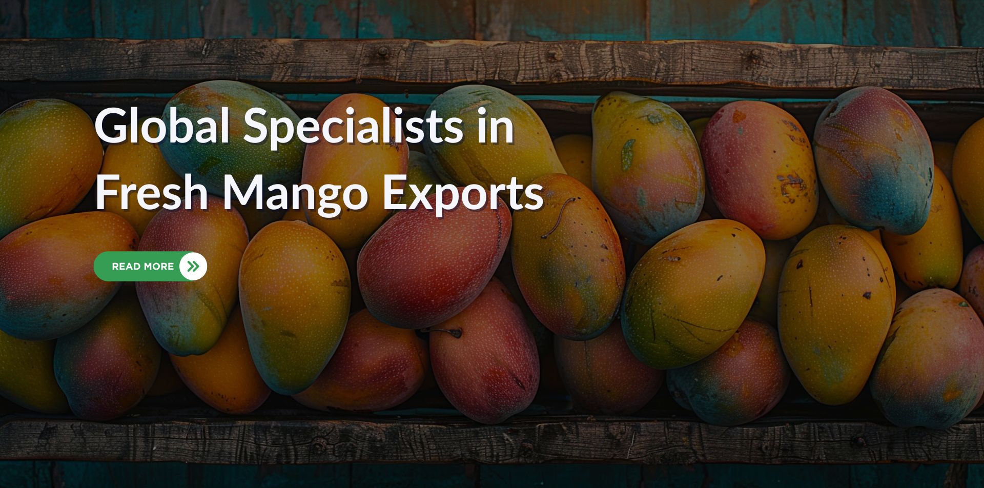 Your paragraph text (4)