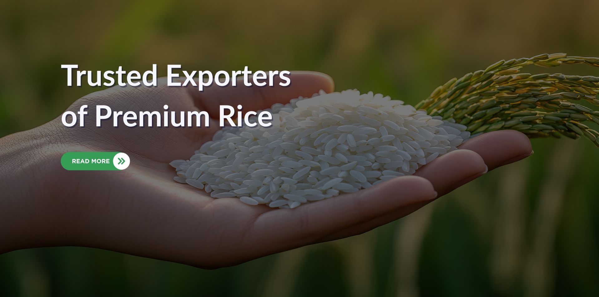 Your paragraph text (5)