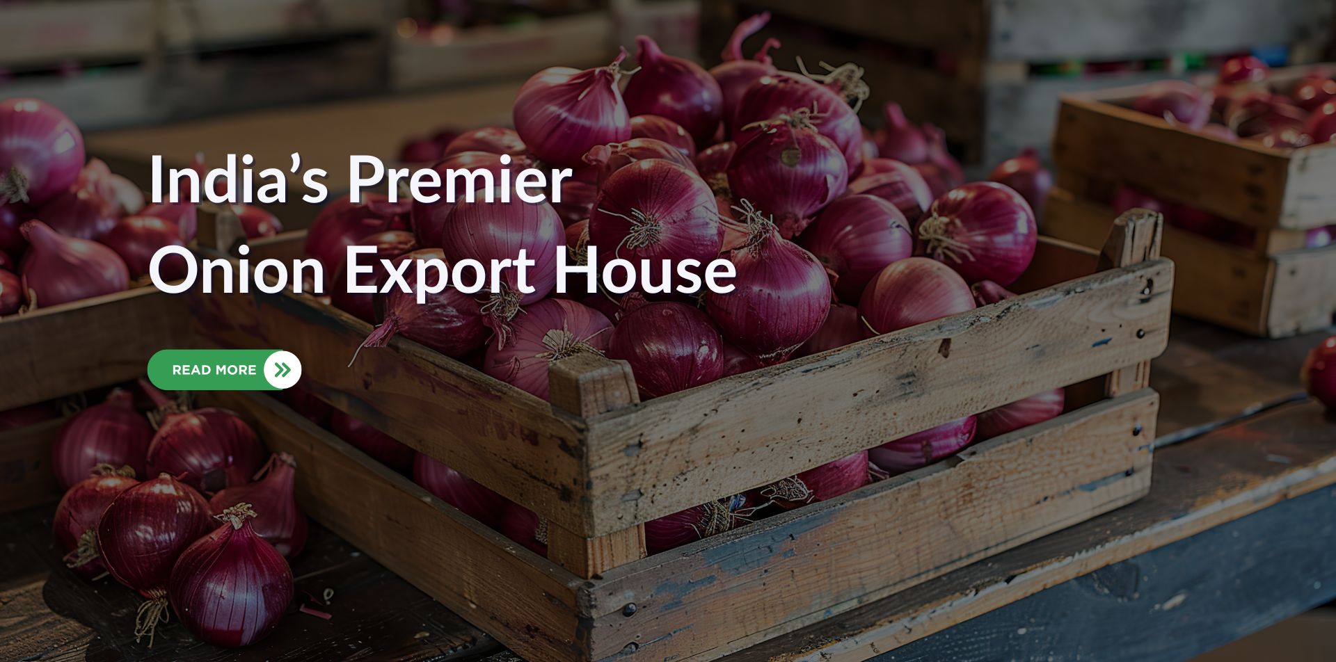 Your paragraph text (6)